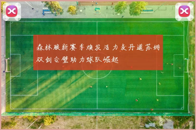 森林狼新赛季焕发活力麦丹道苏姆双剑合璧助力球队崛起